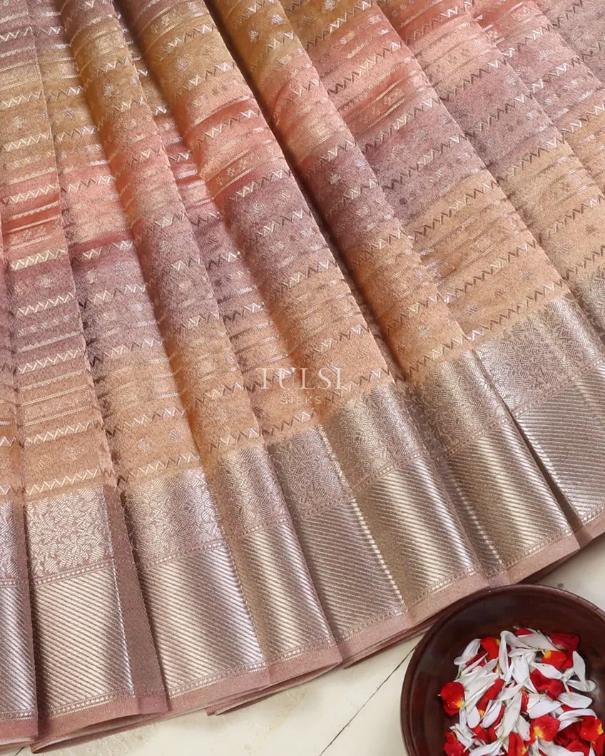 multicolour-banaras-tissue-organza-saree-t673137-t673137-b