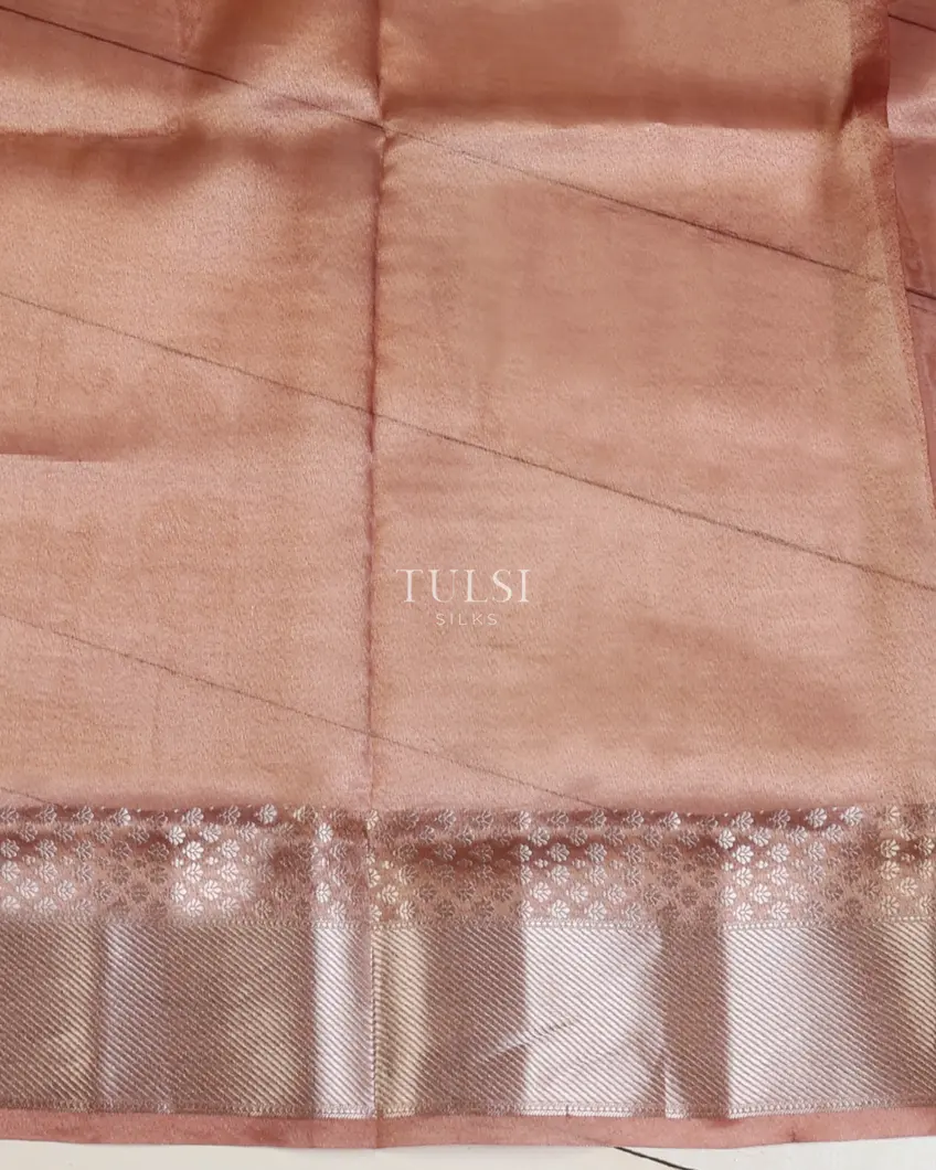 multicolour-banaras-tissue-organza-saree-t673137-t673137-c