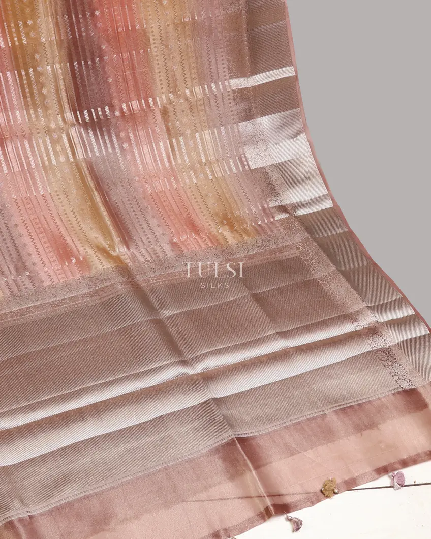 multicolour-banaras-tissue-organza-saree-t673137-t673137-d