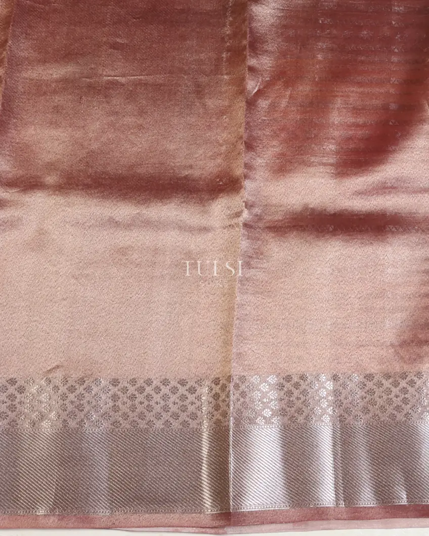 multicolour-banaras-tissue-organza-saree-t673136-t673136-c