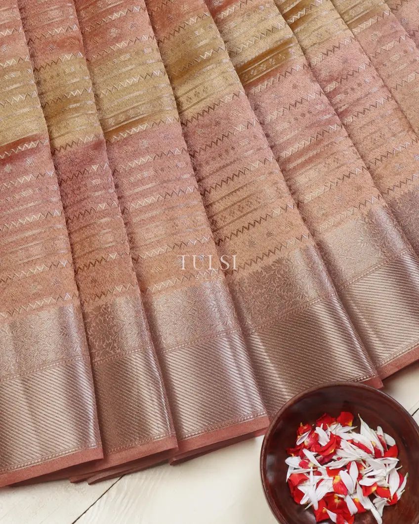 multicolour-banaras-tissue-organza-saree-t673139-t673139-b