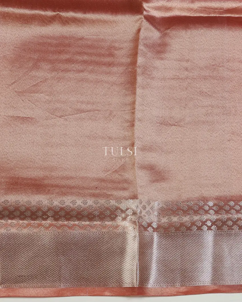 multicolour-banaras-tissue-organza-saree-t673139-t673139-c