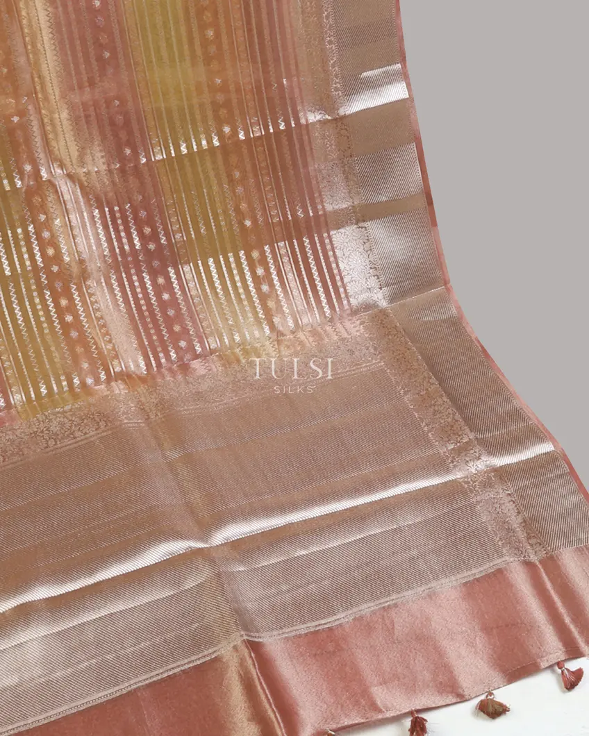 multicolour-banaras-tissue-organza-saree-t673139-t673139-d