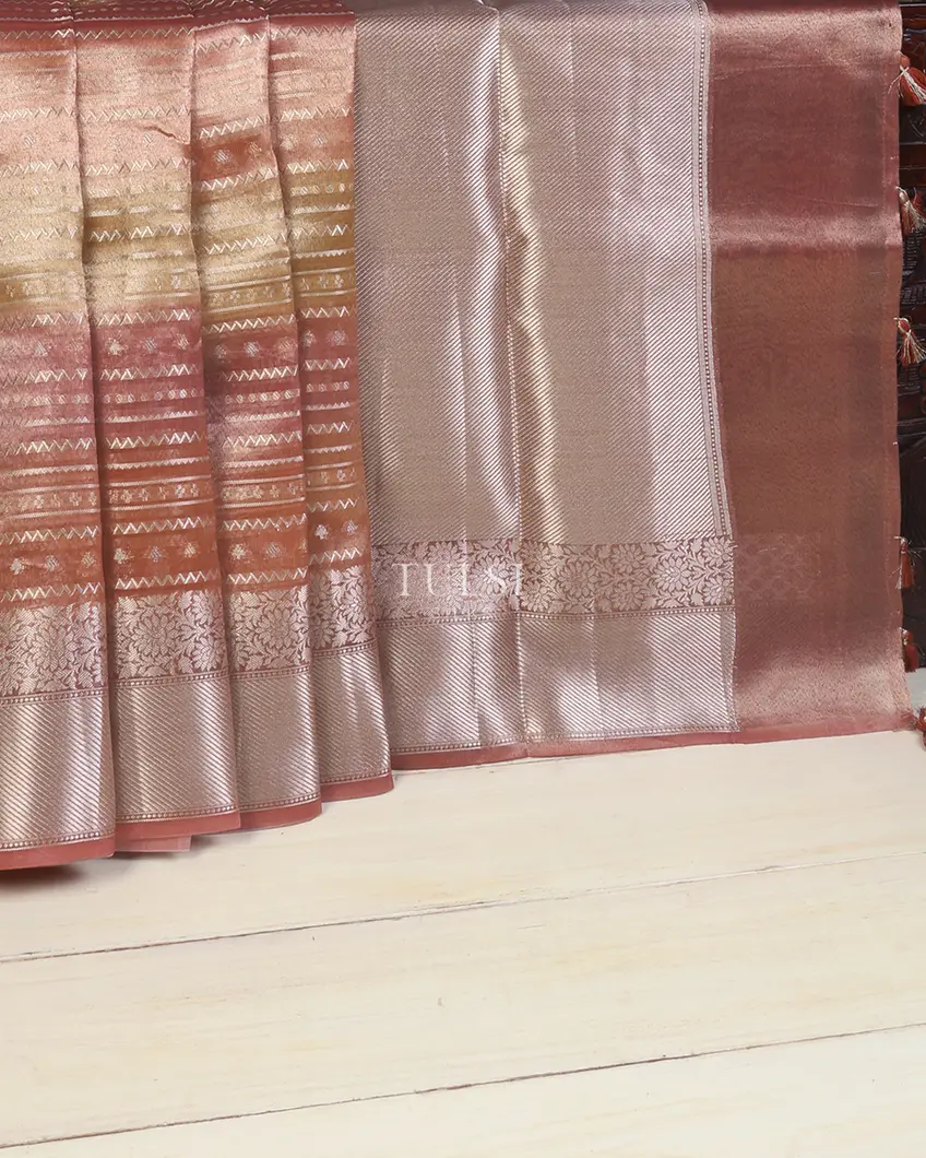 multicolour-banaras-tissue-organza-saree-t673139-t673139-e