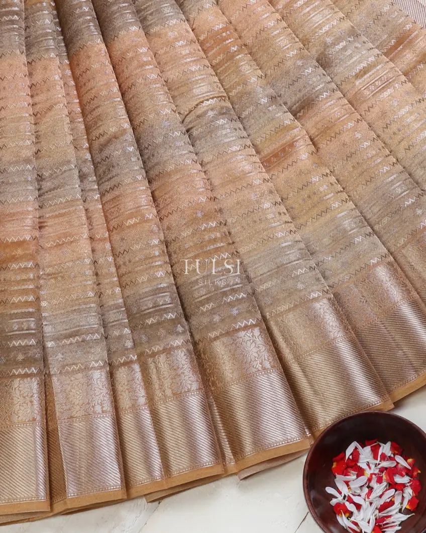 multicolour-banaras-tissue-organza-saree-t673138-t673138-b