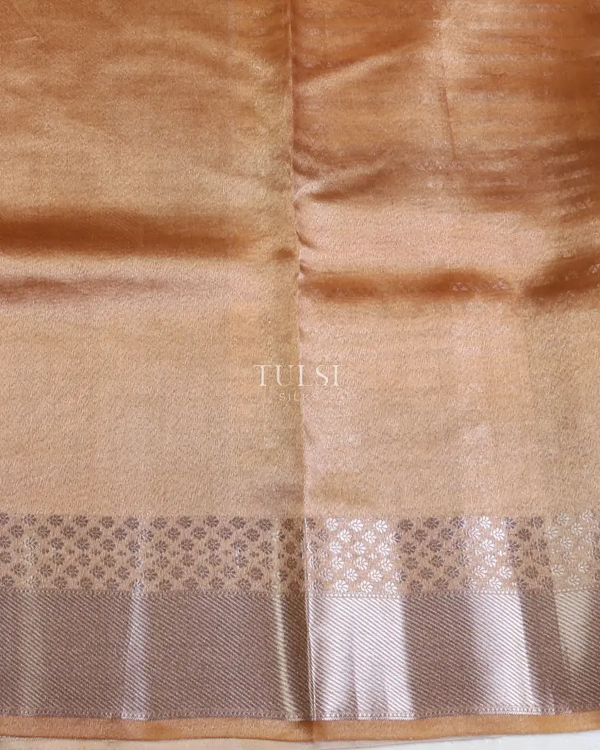 multicolour-banaras-tissue-organza-saree-t673138-t673138-c