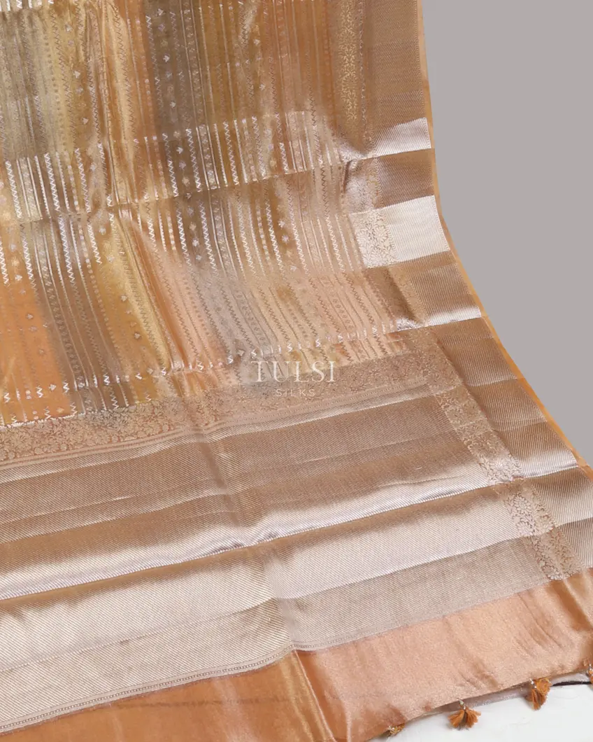 multicolour-banaras-tissue-organza-saree-t673138-t673138-d