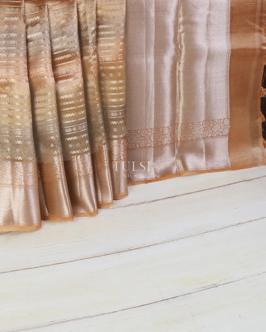 multicolour-banaras-tissue-organza-saree-t673138-t673138-e