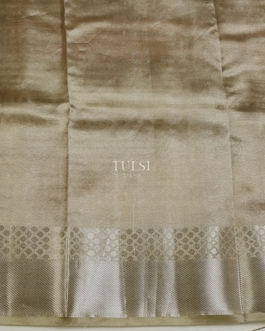 multicolour-banaras-tissue-organza-saree-t673140-t673140-c