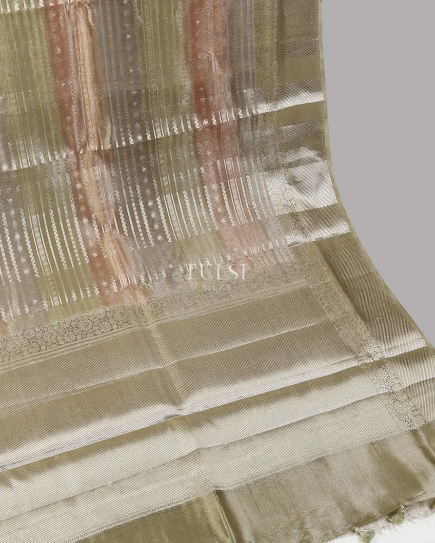 multicolour-banaras-tissue-organza-saree-t673140-t673140-d