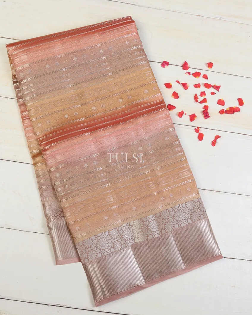 Multicolour Banaras Tissue Organza Saree T673137-image