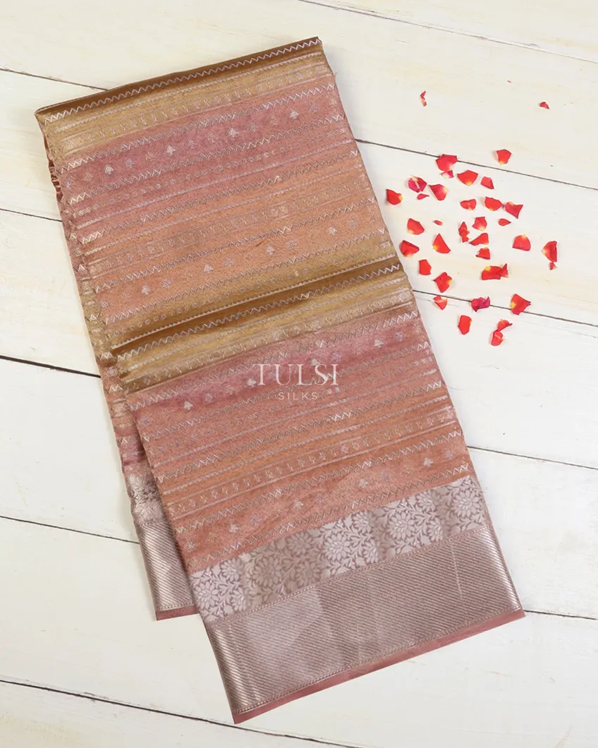 Multicolour Banaras Tissue Organza Saree T673139-image