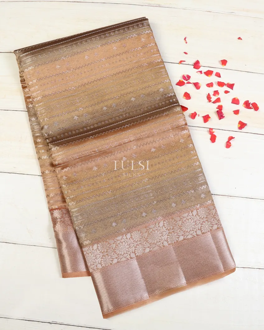 Multicolour Banaras Tissue Organza Saree T673138-image