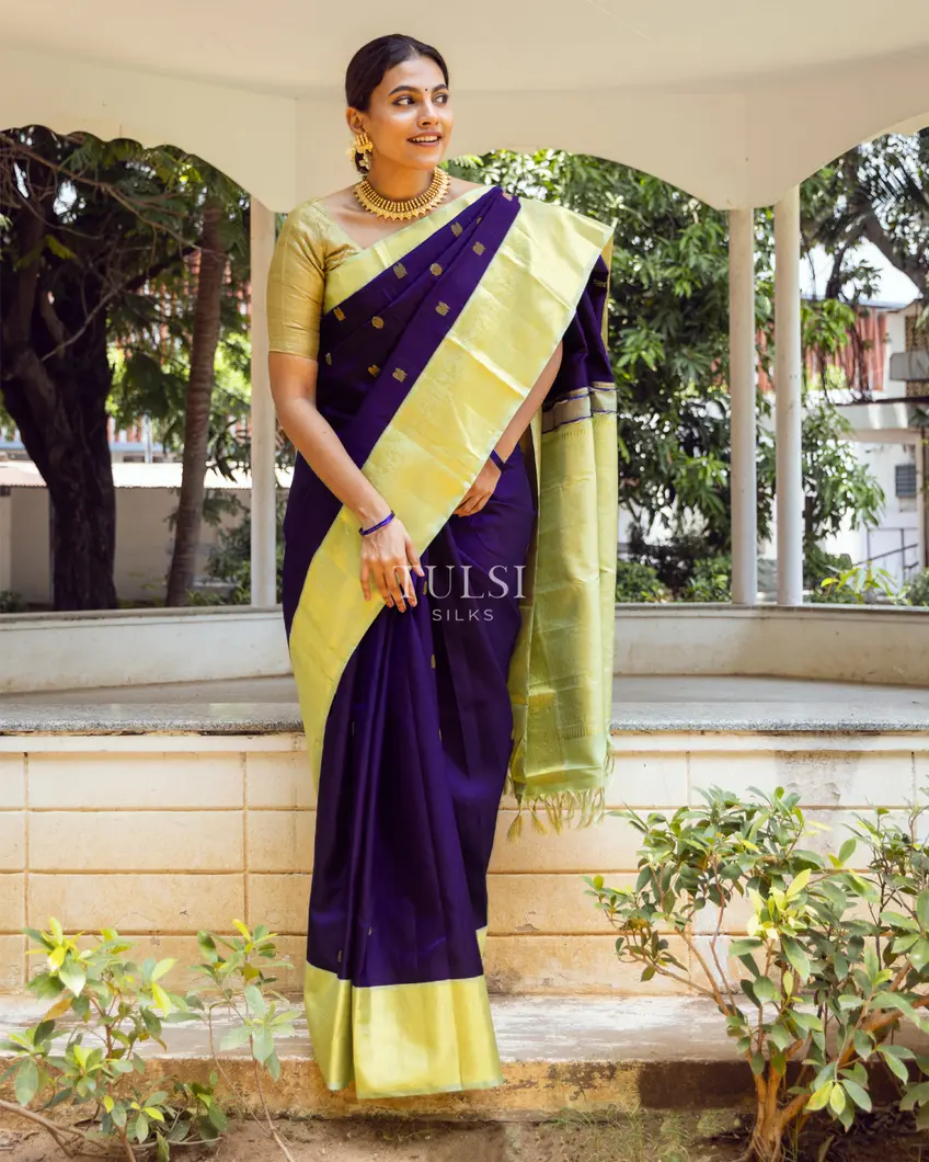Bluish Purple Kanjivaram Silk Saree T649916-image