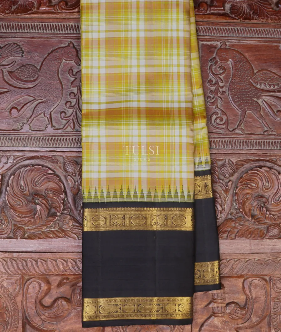 Multicolour Kanjivaram Silk Saree T670735-image