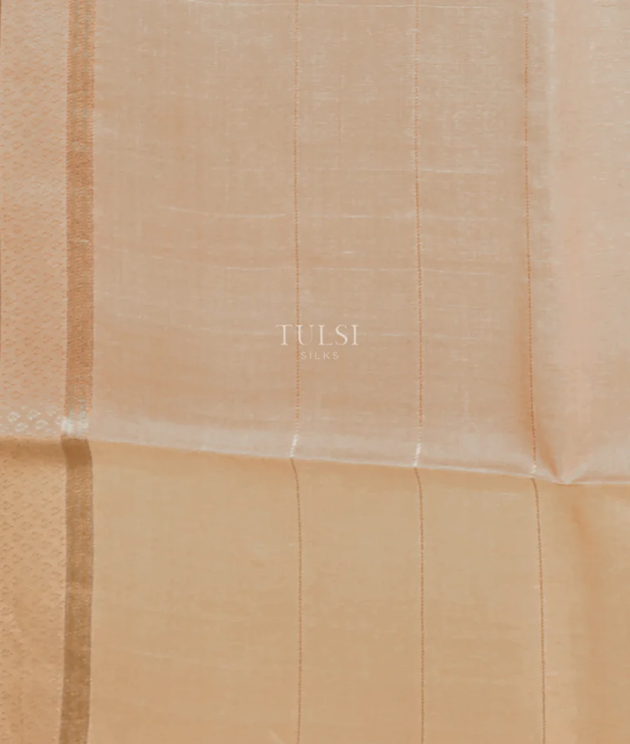 beige-tussar-printed-saree-t668468-t668468-c