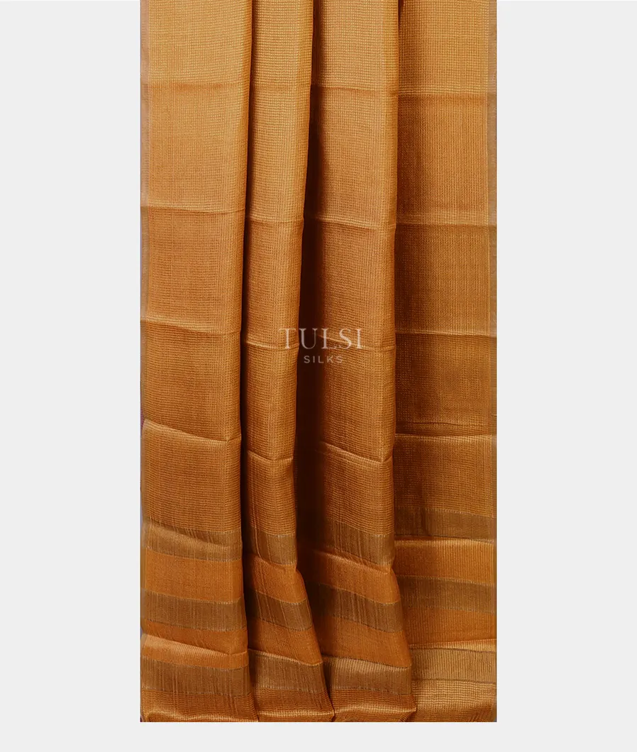 brown-woven-tussar-saree-t658336-t658336-b