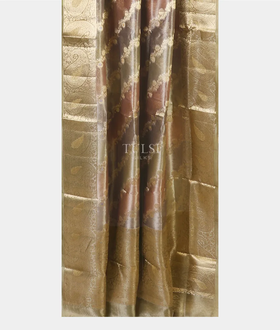 multicolour-banaras-tissue-organza-saree-t676981-t676981-b