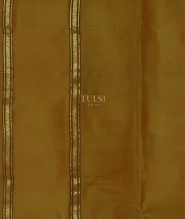beige-silk-cotton-saree-t675778-t675778-c
