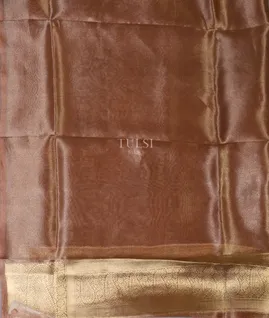 brown-banaras-tissue-organza-saree-t676975-t676975-c