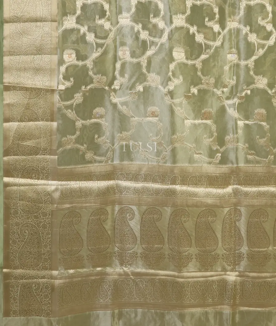 green-banaras-tissue-organza-saree-t677073-t677073-d