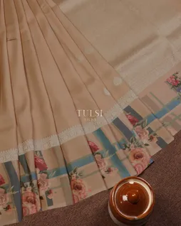 beige-banaras-kathan-silk-saree-t670544-t670544-b