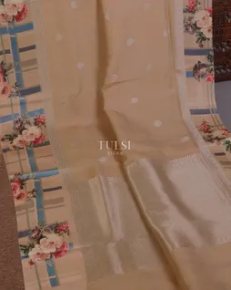 beige-banaras-kathan-silk-saree-t670544-t670544-d