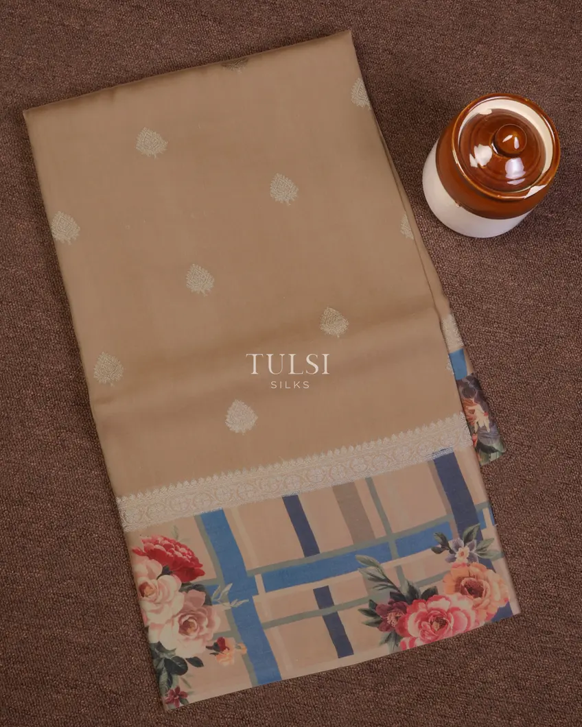 Beige Banaras Kathan Silk Saree T670544-image