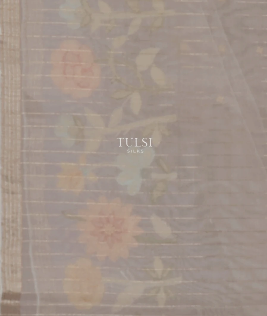 grey-kora-organza-embroidery-saree-t649945-t649945-c