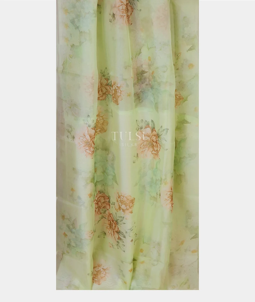 green-kora-organza-printed-saree-t654683-t654683-b