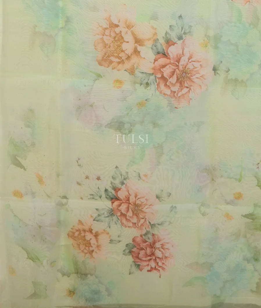 green-kora-organza-printed-saree-t654683-t654683-d