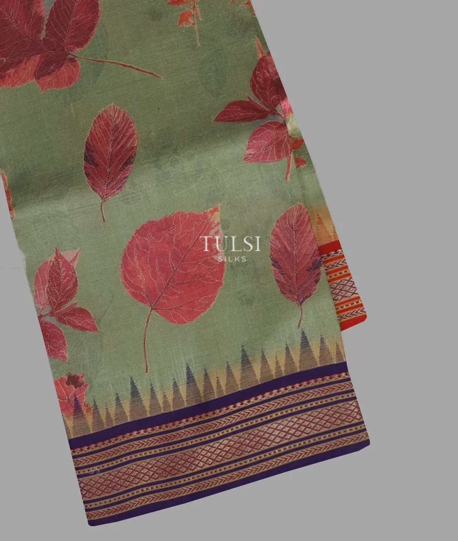 Greenish Grey Vidarbha Tussar Saree T639559-image