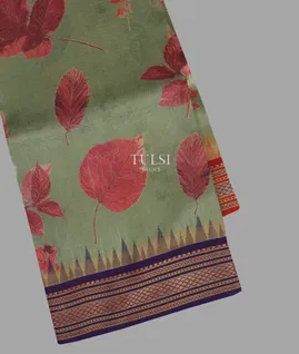 greenish-grey-vidarbha-tussar-saree-t639559-t639559-a