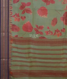 greenish-grey-vidarbha-tussar-saree-t639559-t639559-d