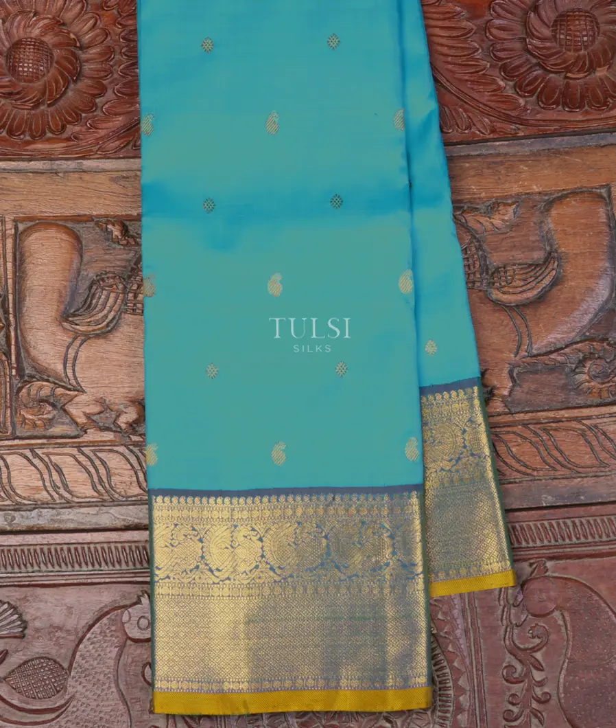 Blue Kanjivaram Silk Saree T628591-image