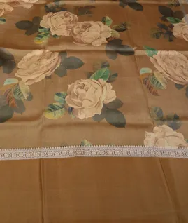 brown-banaras-kathan-silk-saree-t679248-t679248-c