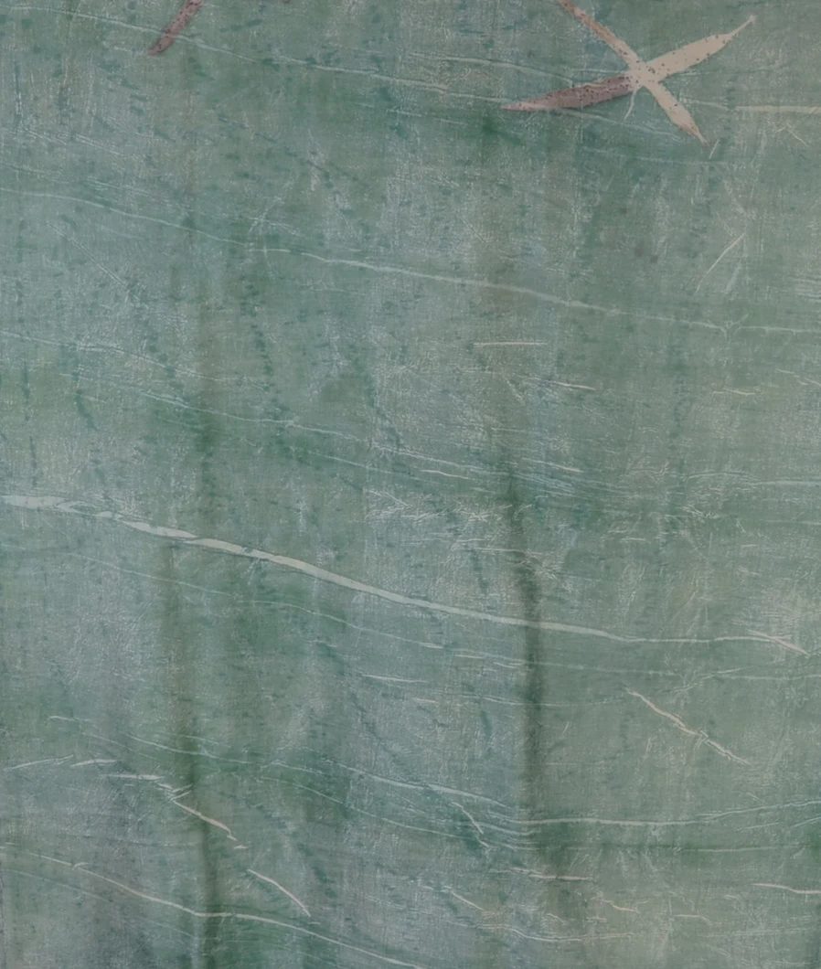 green-pure-silk-saree-t659059-t659059-c