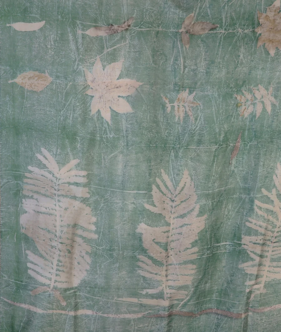 green-pure-silk-saree-t659059-t659059-d