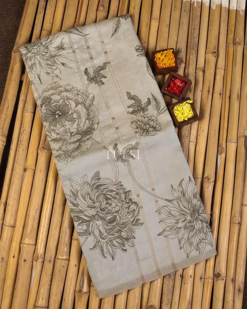 Off-White Tussar Organza Printed Saree T679321-image