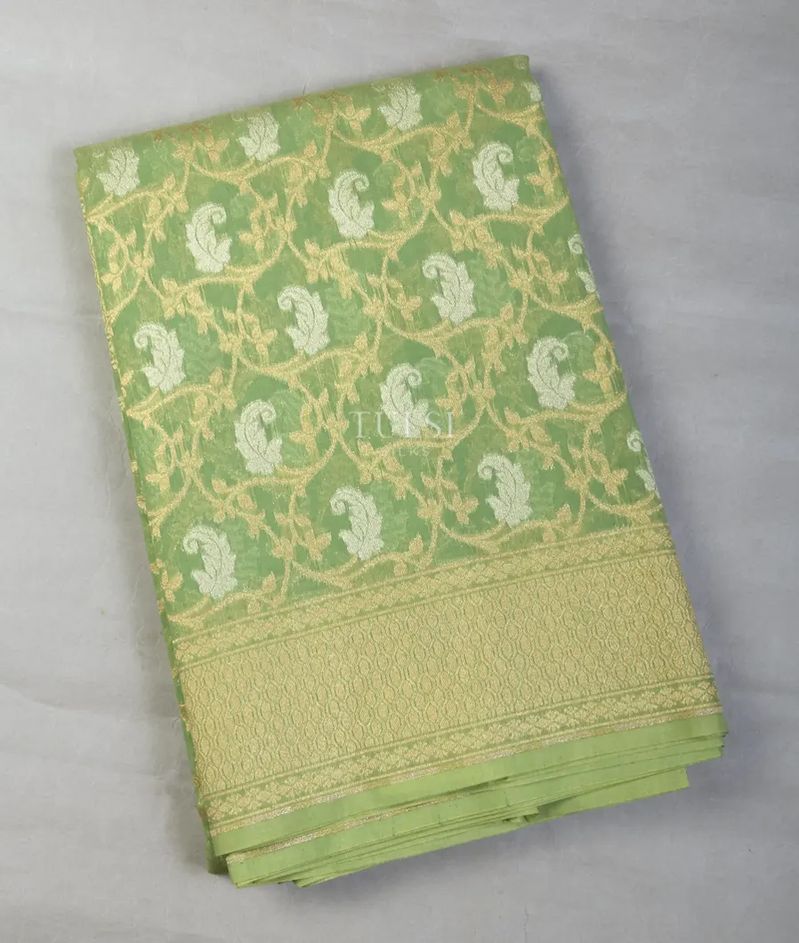 Green Banaras Cotton Saree T573986-1-image