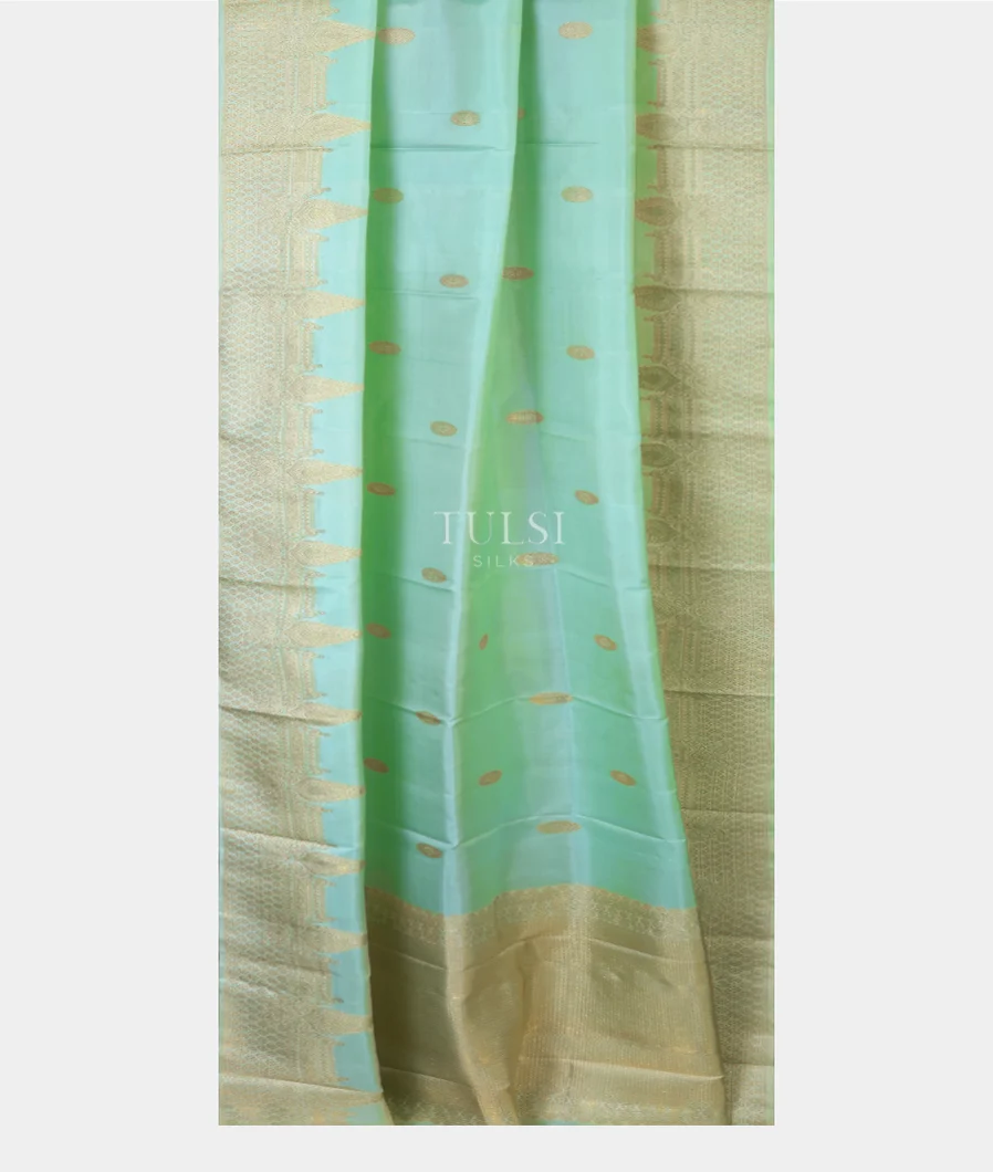 light-green-kanjivaram-silk-dupatta-t678617-t678617-b