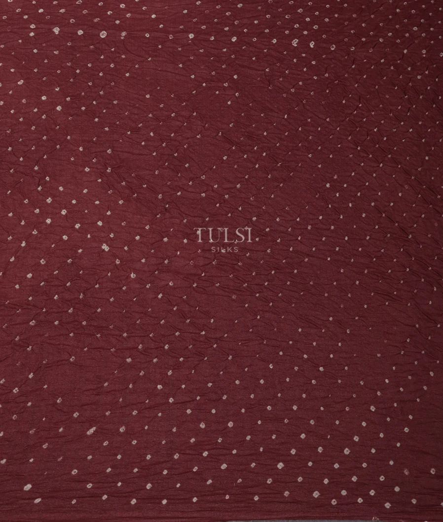 grey-bandhani-tussar-kalamkari-saree-t652760-t652760-c