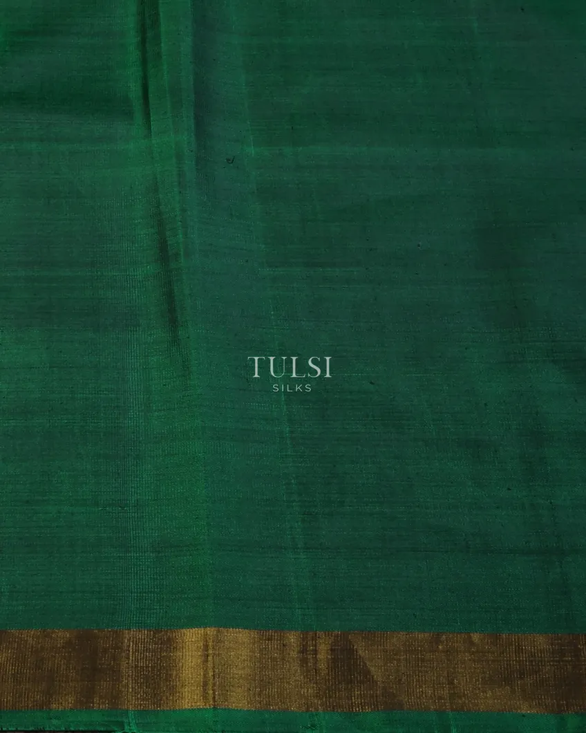 off-white-patola-silk-with-embroidery-saree-t648274-t648274-c