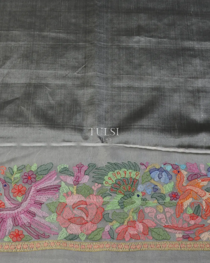 off-white-patola-silk-saree-with-embroidery-border-and-pallu-t620372-1-t620372-1-c