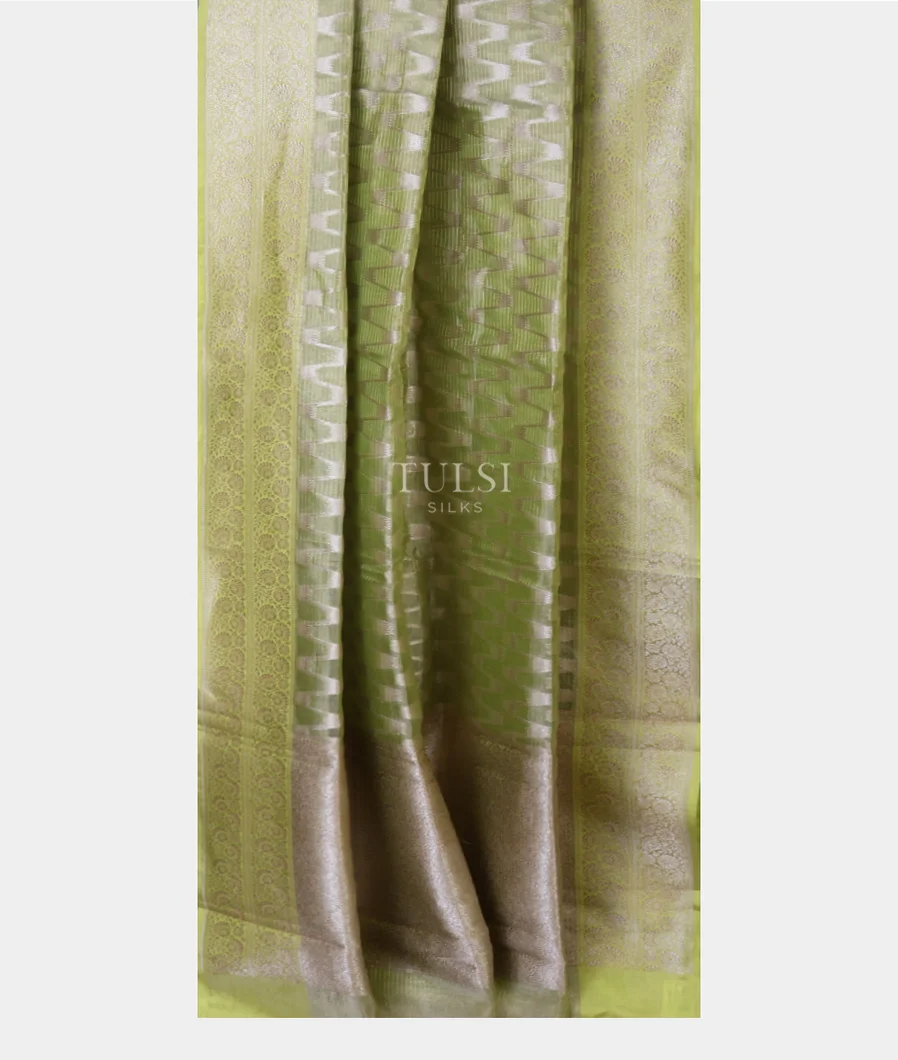 green-banaras-tissue-organza-saree-t665190-t665190-b