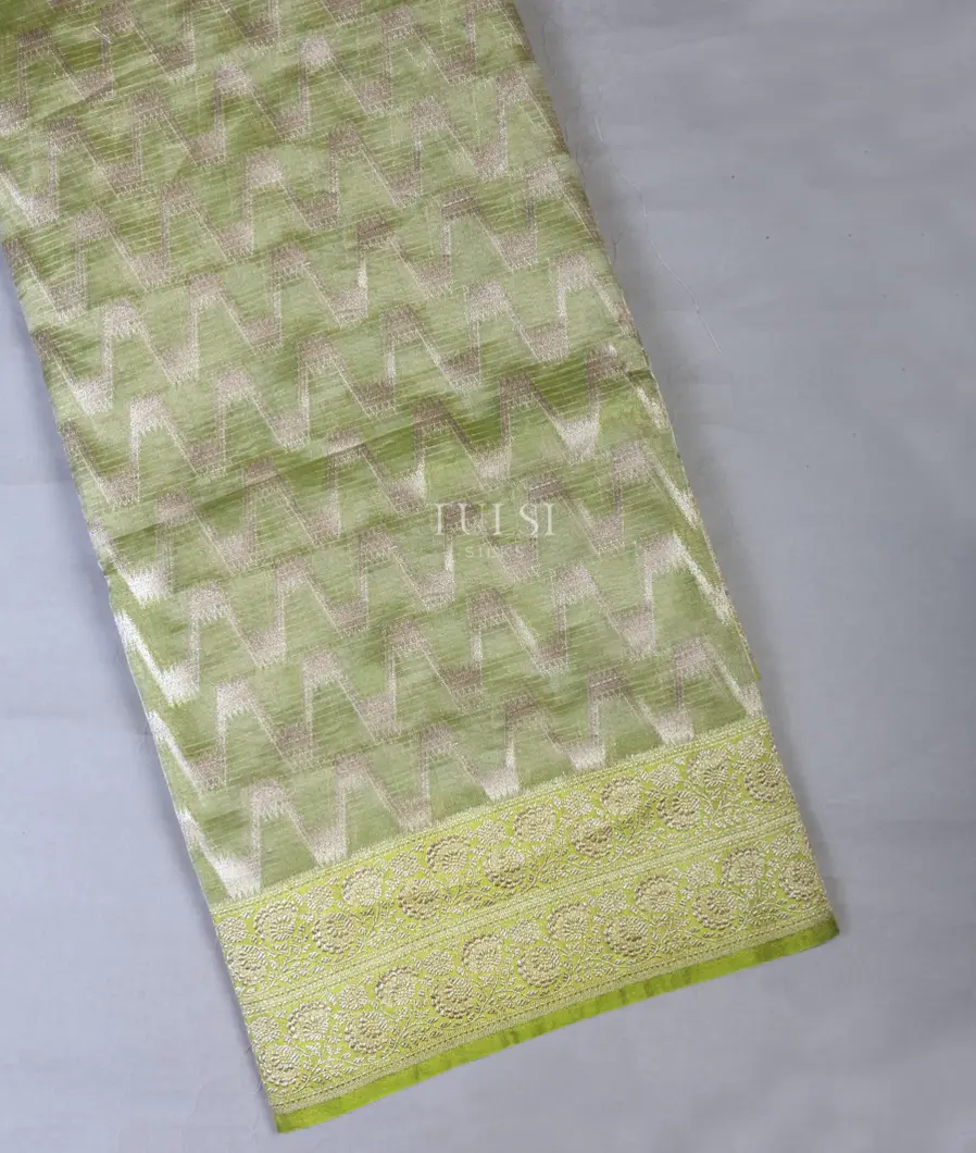 Green Banaras Tissue Organza Saree T665190-image