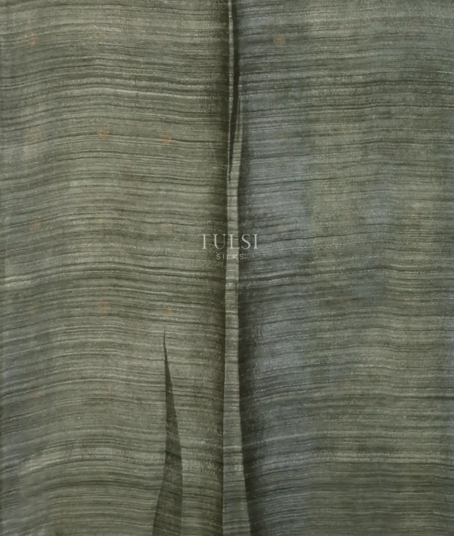 greyish-green-handwoven-tussar-saree-t671858-t671858-c