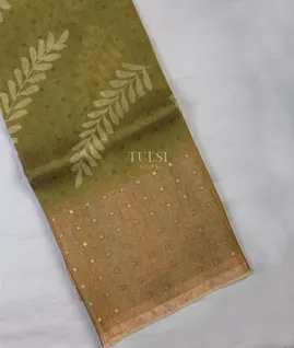 green-tissue-organza-printed-saree-t681803-t681803-a