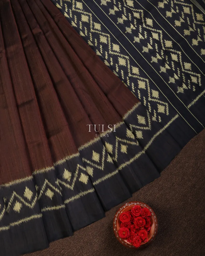 brown-patola-silk-saree-t682341-t682341-b