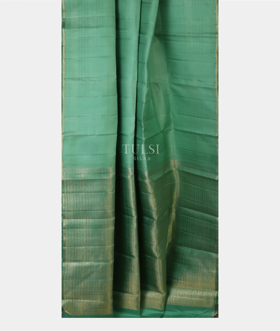 green-kanjivaram-silk-saree-t681335-t681335-b